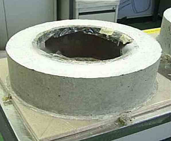 Fig. 2. Ring test specimen